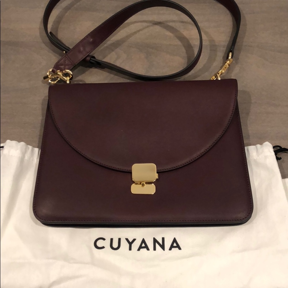 Cuyana burgundy accordion crossbody bag